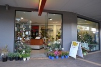 Flower Shop in Mosman Juntion