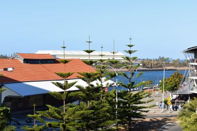 307/4 Honeysuckle Drive, Newcastle
