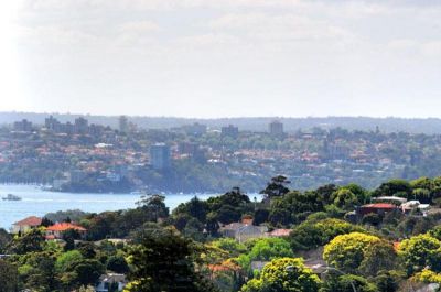 BONDI JUNCTIONS HIDDEN TREASURE