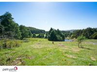 Rare Parcel Of Land