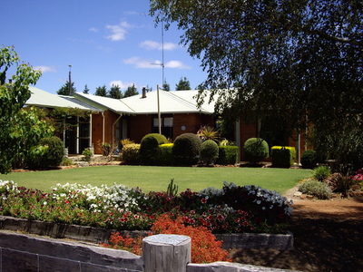 Looking for a Tree Change?