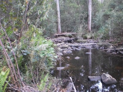 Native Bushland – 3.45 Acres