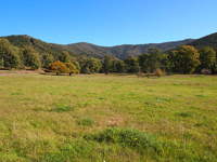 18 Glorious Acres