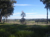  9 Acres . Main Rd  Frontage.Elect