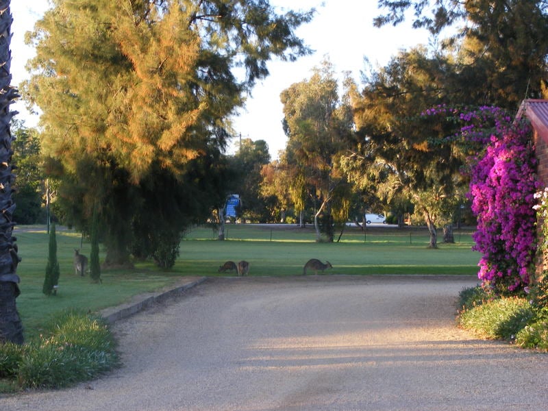 Barooga Golf View Motel