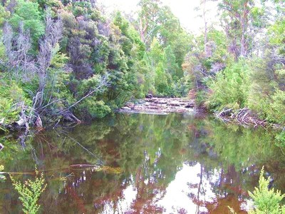 Riverfront 5 Acres