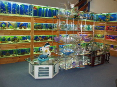 Australia's Largest Aquarium Centre Established over 25 years for sale 