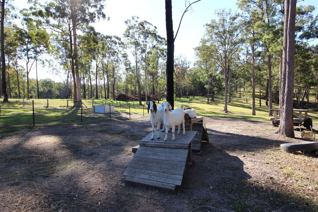 264 Crowther Drive, KUNDABUNG NSW 2441