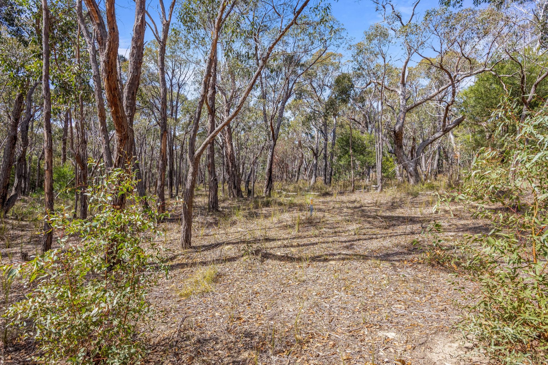 Lot 10, Rozenstein Road - Thumbnail 2