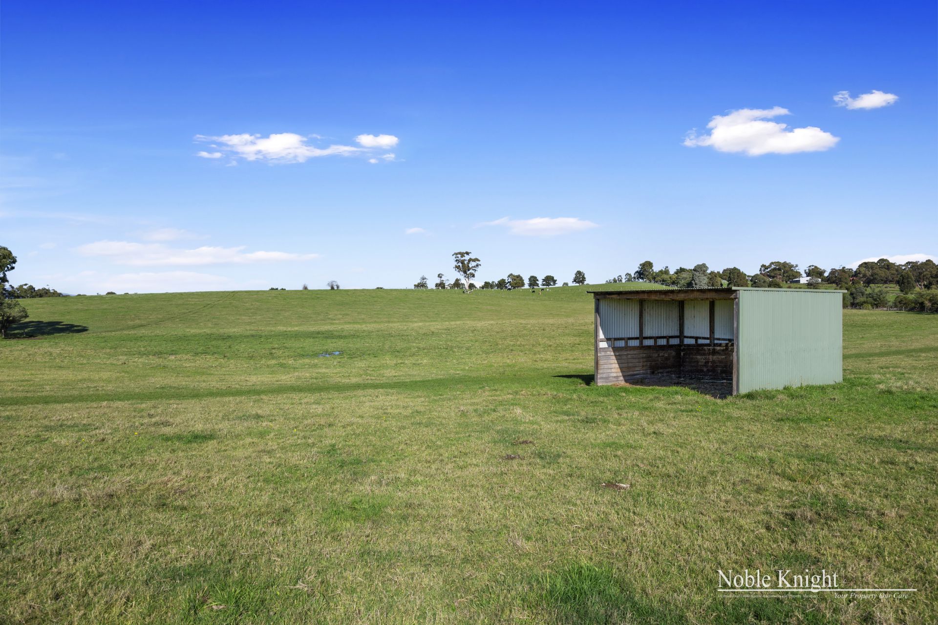 1077 Melba Highway, Yarra Glen Noble Knight