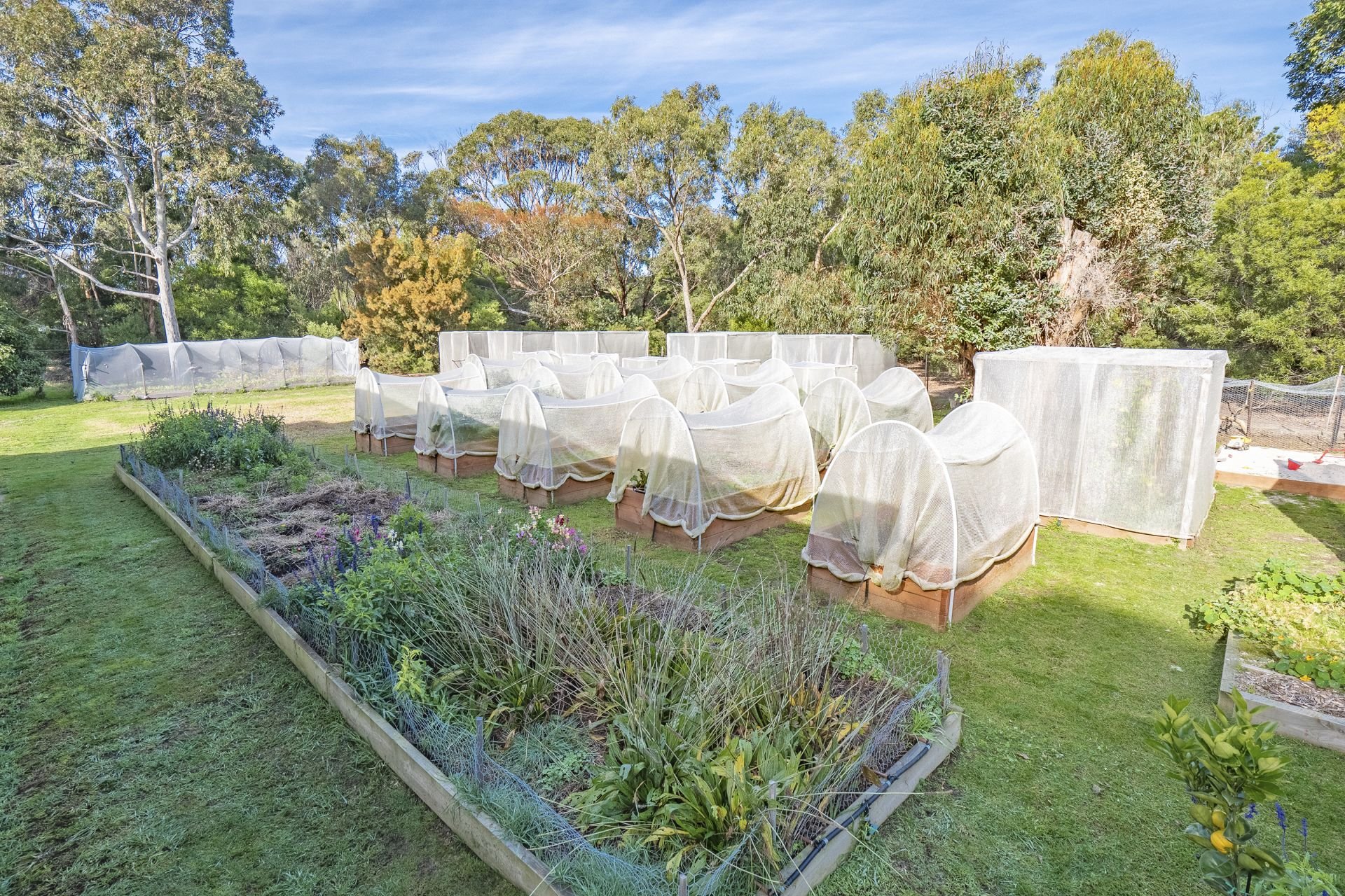 Real Estate For Sale 849 Great Ocean Road Bellbrae , VIC