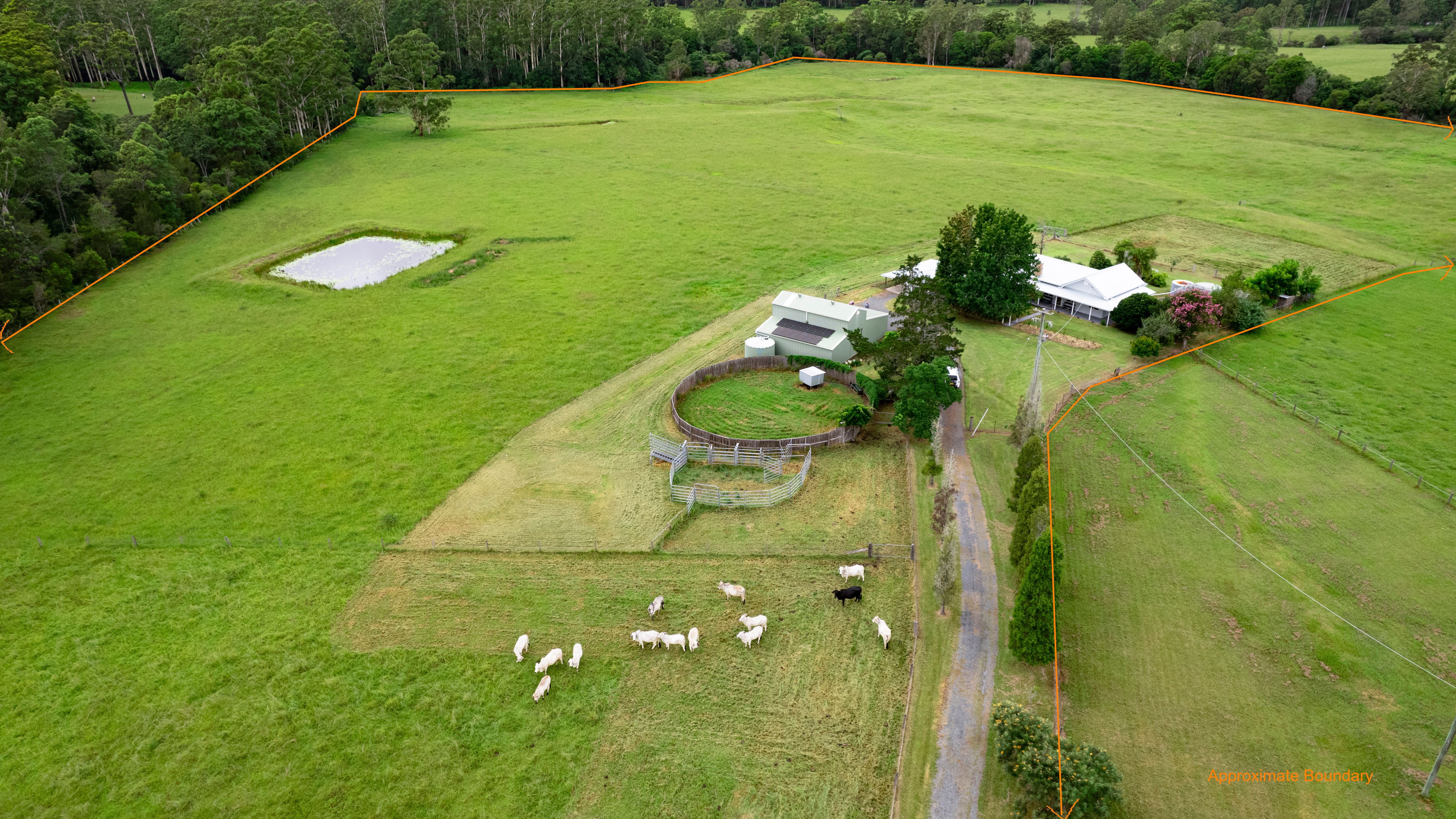 51 Horse Lane, KUNDABUNG NSW 2441