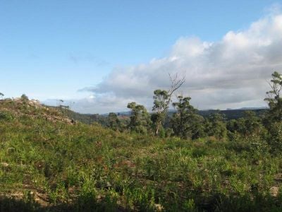 26 Forest Heights Drive, TUGRAH, Tugrah - Thumbnail 4