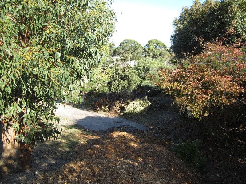 15 Walker Street, Anglesea, VIC, Anglesea - Thumbnail 4