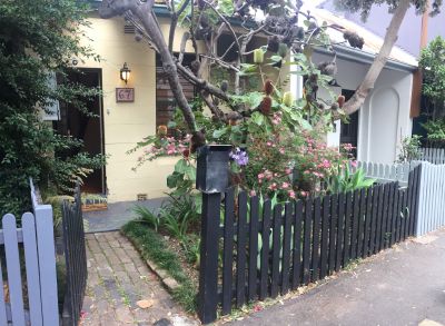 67 Newman Street, Newtown