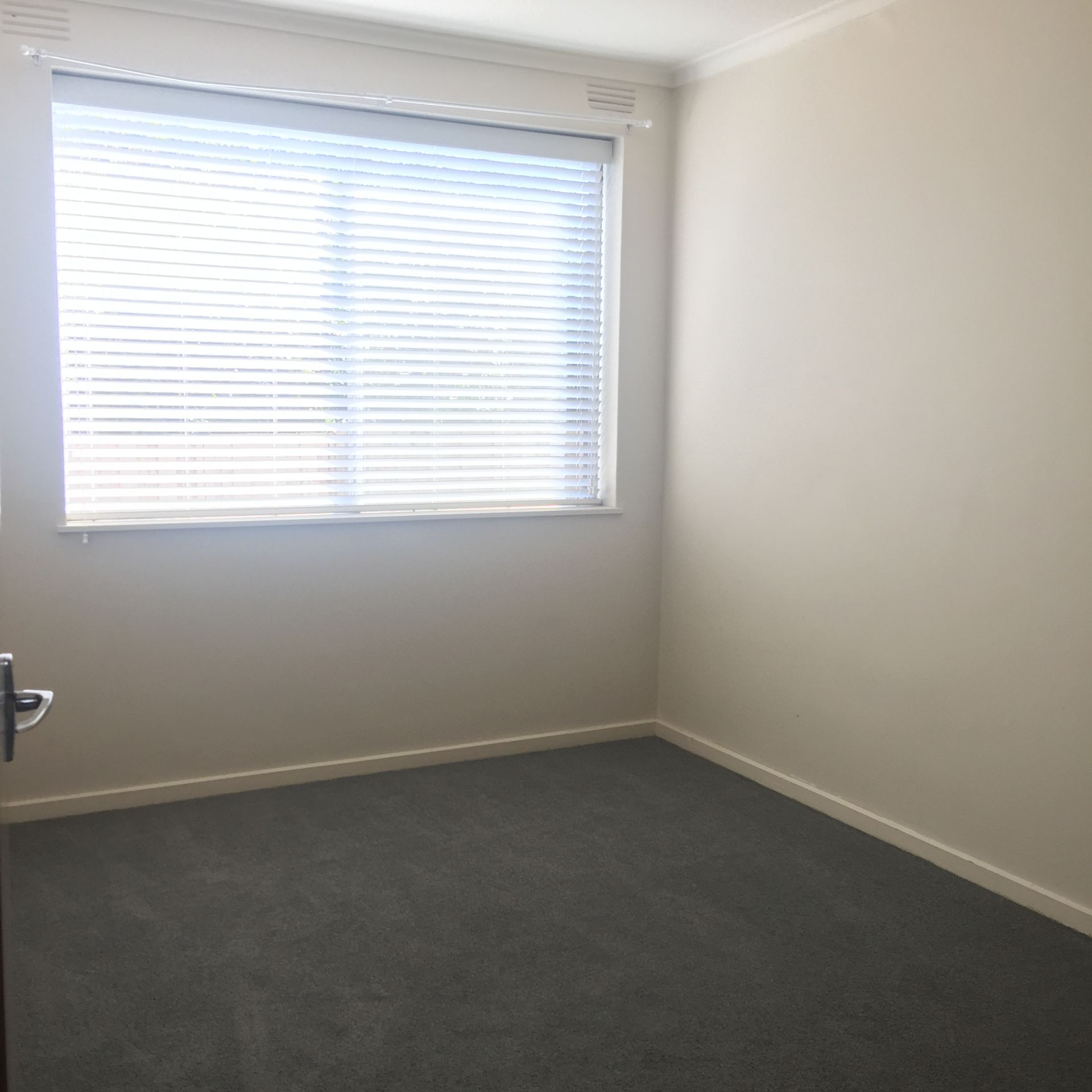 Bright, renovated apartment!