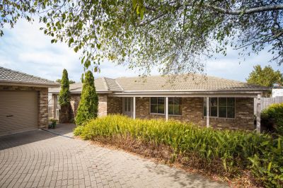 Exactly What You Have Been Looking For