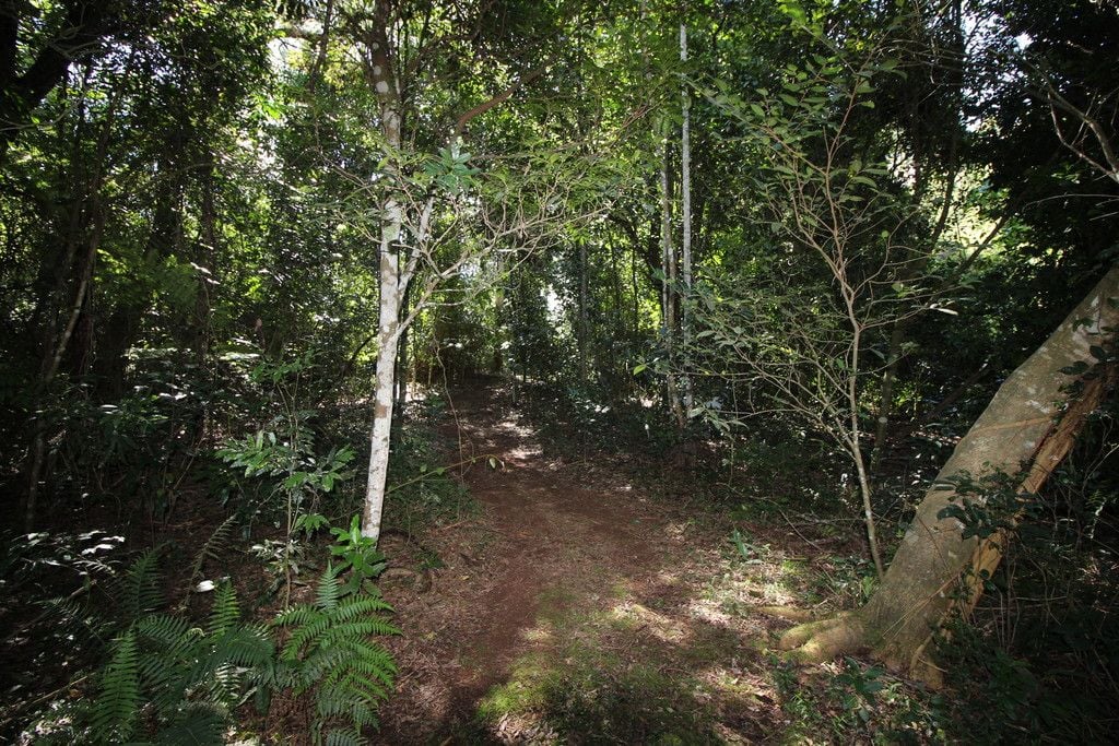 389 Playfords Road, COMBOYNE NSW 2429