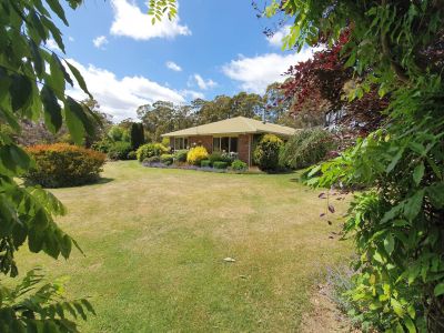 3
 
 
 
  
 
 
 1
 
 
 
  
 
 
 4
 
 
 
 
 
 
 
 35 Chaplins Road, Northdown TAS 7307, Northdown - Thumbnail 4