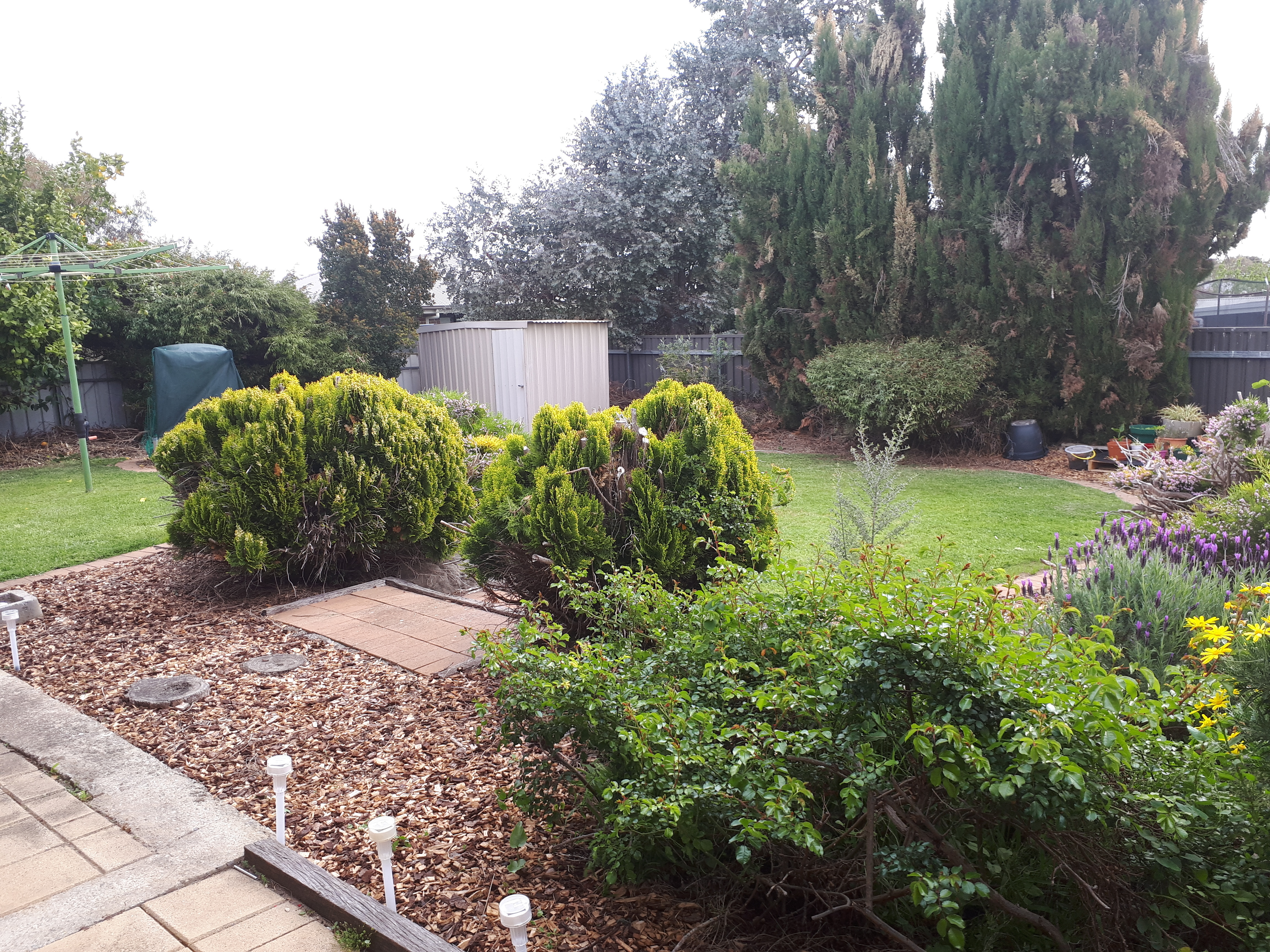 16 Grace Court Morphett Vale 5162