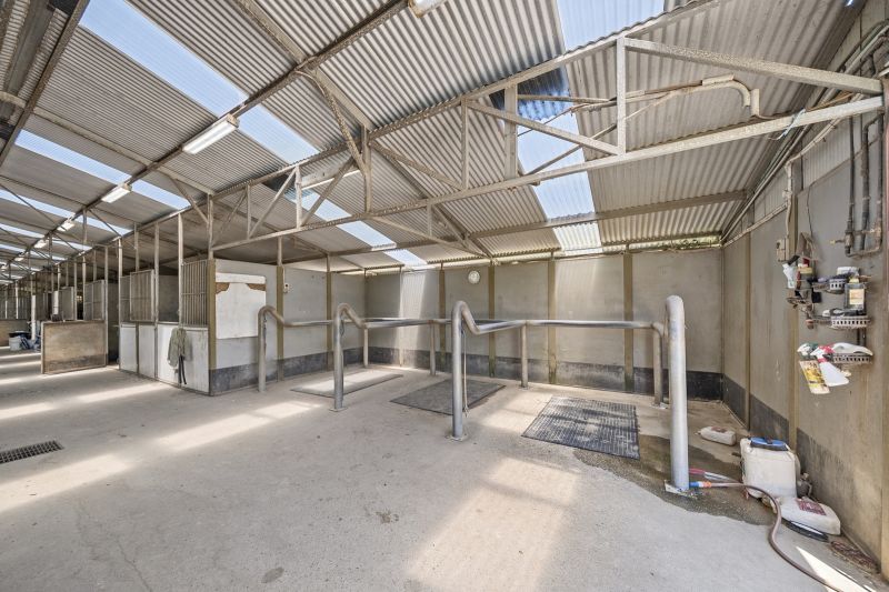 Real Estate For Sale Freemans Reach , NSW