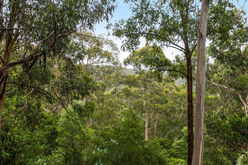 45 Riverside, Wye River, VIC, Wye River - Thumbnail 4