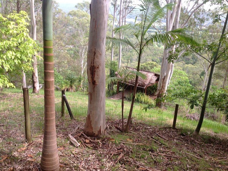 72 Eloeura Drive NINDERRY QLD, Ninderry - Thumbnail 3