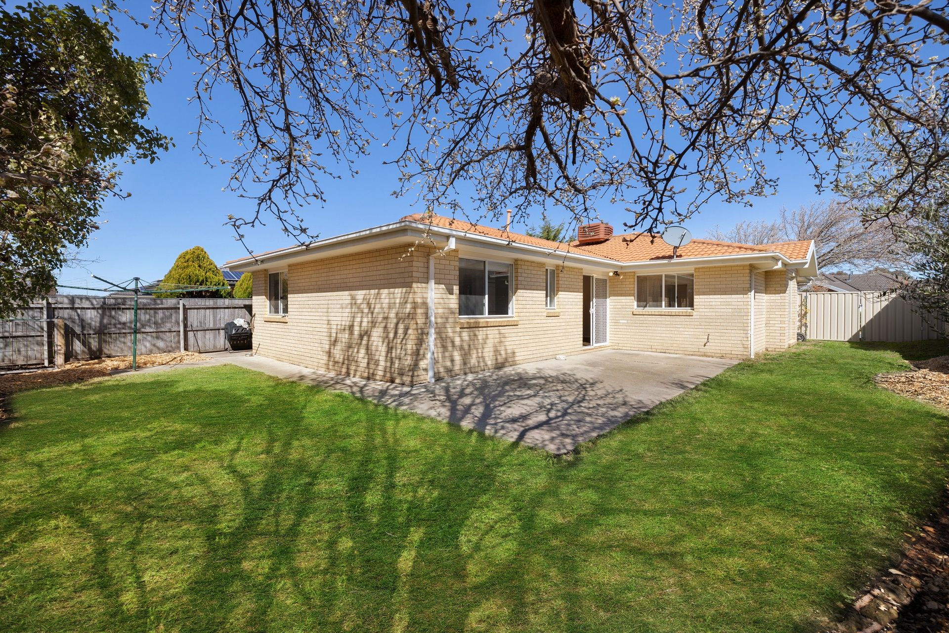 Real Estate For Lease 56 Buckingham Street Amaroo , ACT