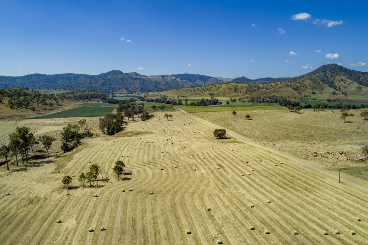 Real Estate For Sale 1179 Running Creek Road Running Creek , QLD