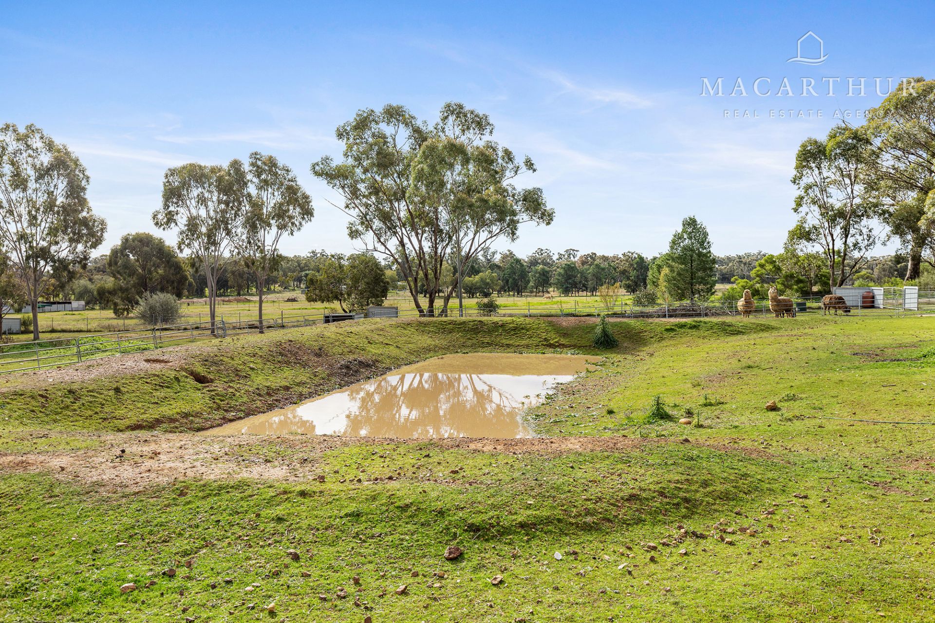 11 Devlin Street, Coolamon Macarthur Real Estate Agency