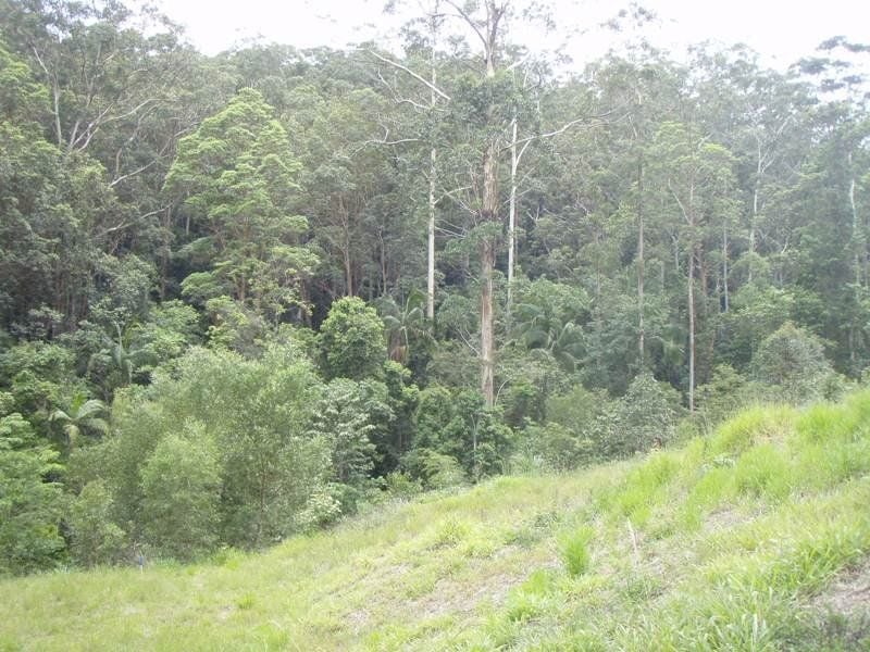 71 Martins Road BUDERIM QLD, Buderim - Thumbnail 2