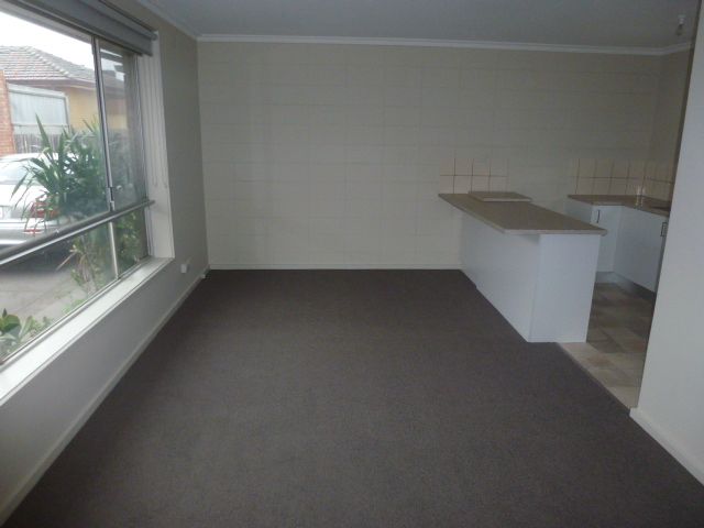 Freshly Renovated Beauty!