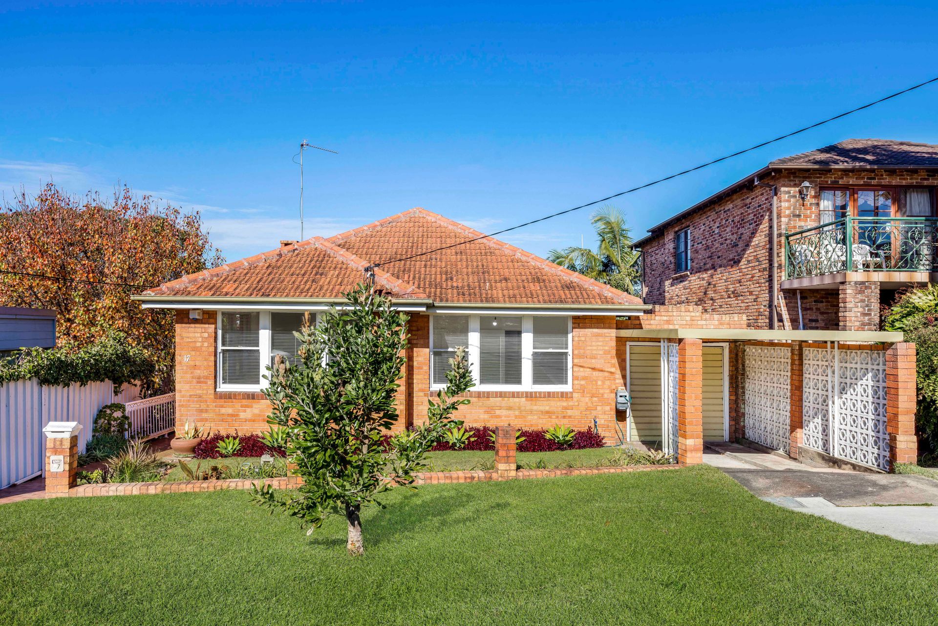 17 David Street Earlwood NSW 2206 House for Sale 6465946 Cobden