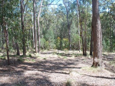 Lot 415 Millingandi Ridge Road, Millingandi