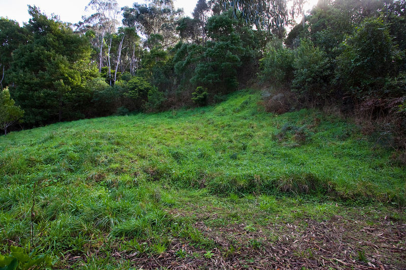 28 Riverside Drive, Wye River, VIC, Wye River - Thumbnail 2