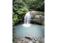 31 Cicada Close BUDERIM QLD, Buderim - Thumbnail 8