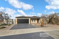1 Kooralbyn Court, Eastwood VIC, Eastwood - Image 1