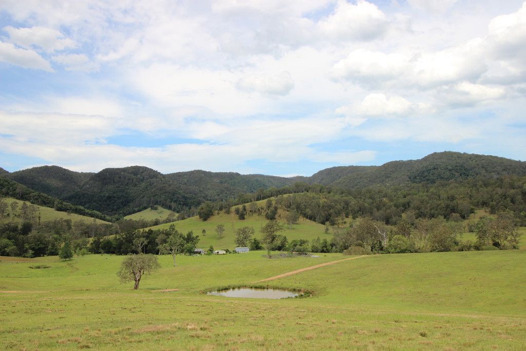 , ELLENBOROUGH NSW 2446