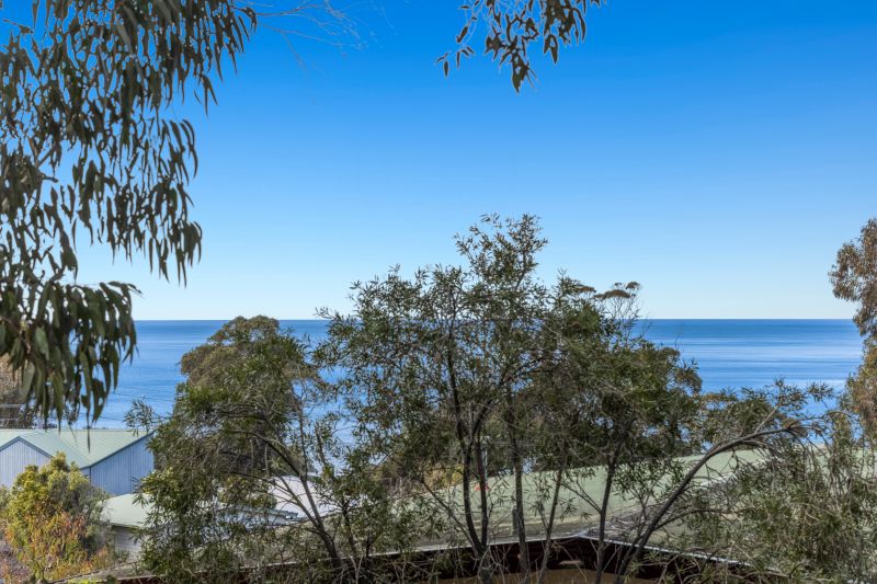 14A Belvedere Terrace, Lorne, VIC, Lorne - Thumbnail 8