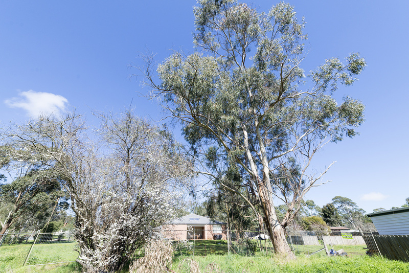 11 Prime Street BIRREGURRA VIC, Birregurra - Thumbnail 3