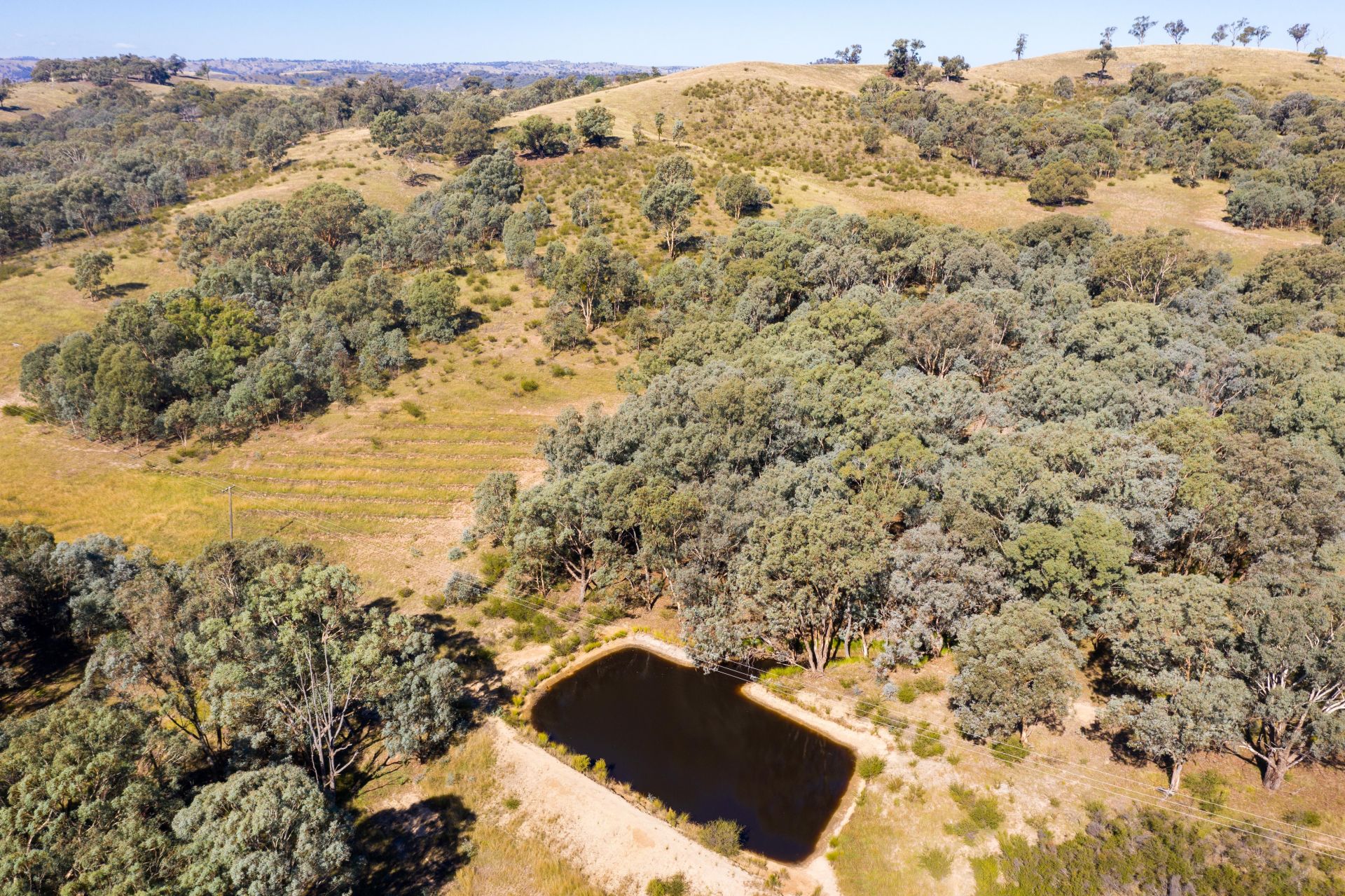 4 Old Wheeo Road, Taylors Flat NSW, Taylors Flat - Thumbnail 4