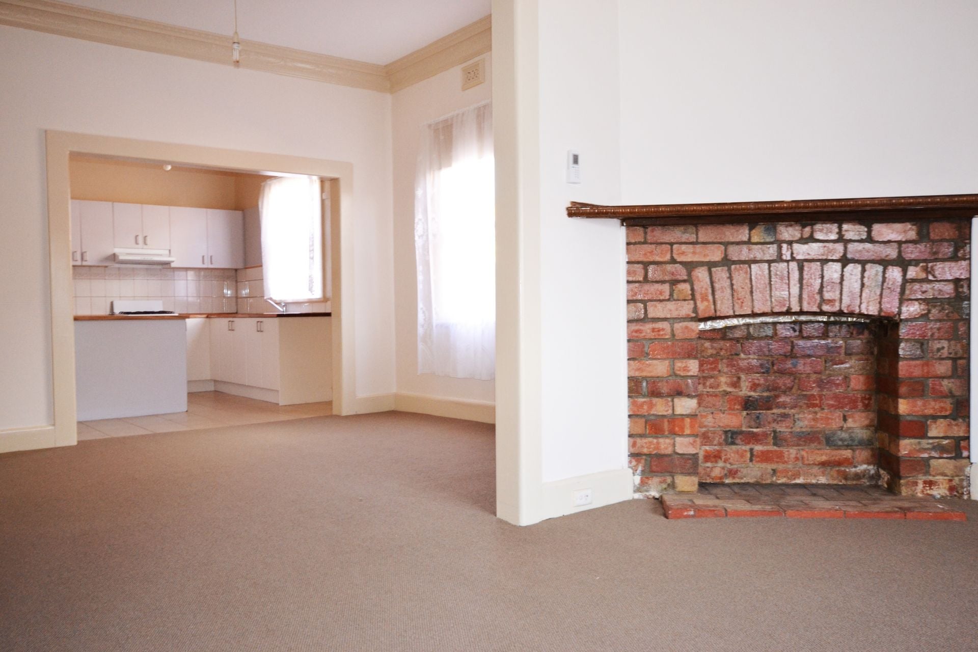 RENOVATED DELIGHT