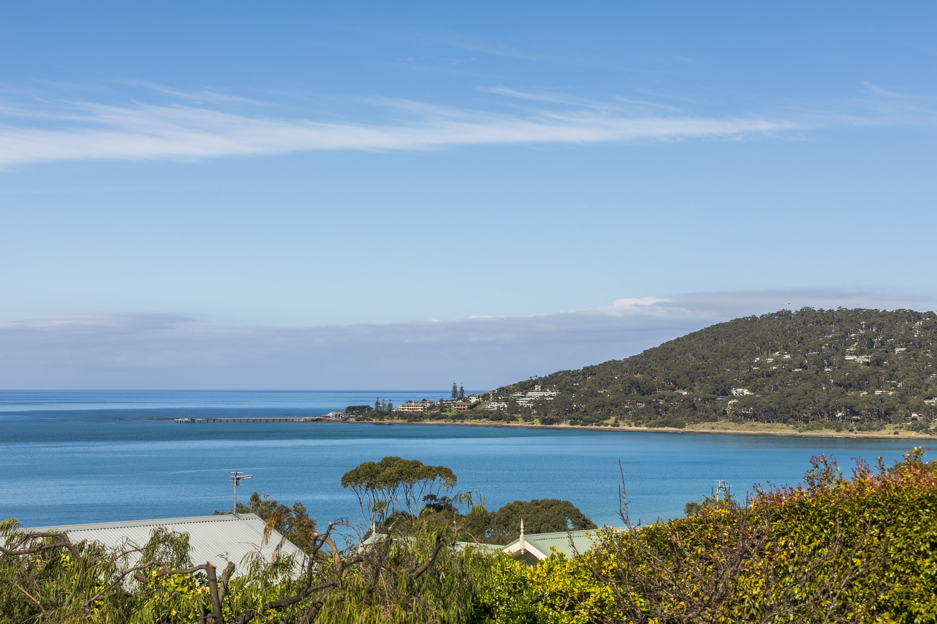 8 Smithers Street, Lorne, VIC, Lorne - Thumbnail 8