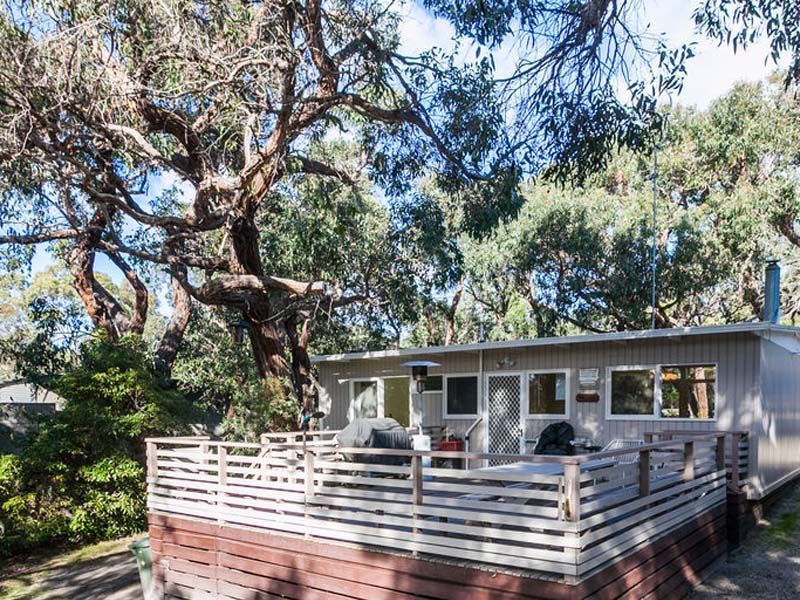 Real Estate For Sale 49 Fraser Avenue Anglesea , VIC