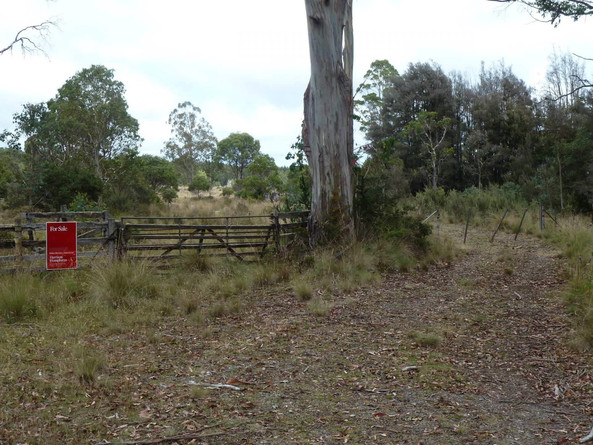 560 Gads Hill Road LIENA, Liena - Thumbnail 3