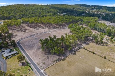 12/11 Yellowstone Drive, Tugrah, Tugrah - Thumbnail 7