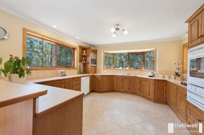 153 Tugrah Road, Stony Rise, Stony Rise - Thumbnail 5