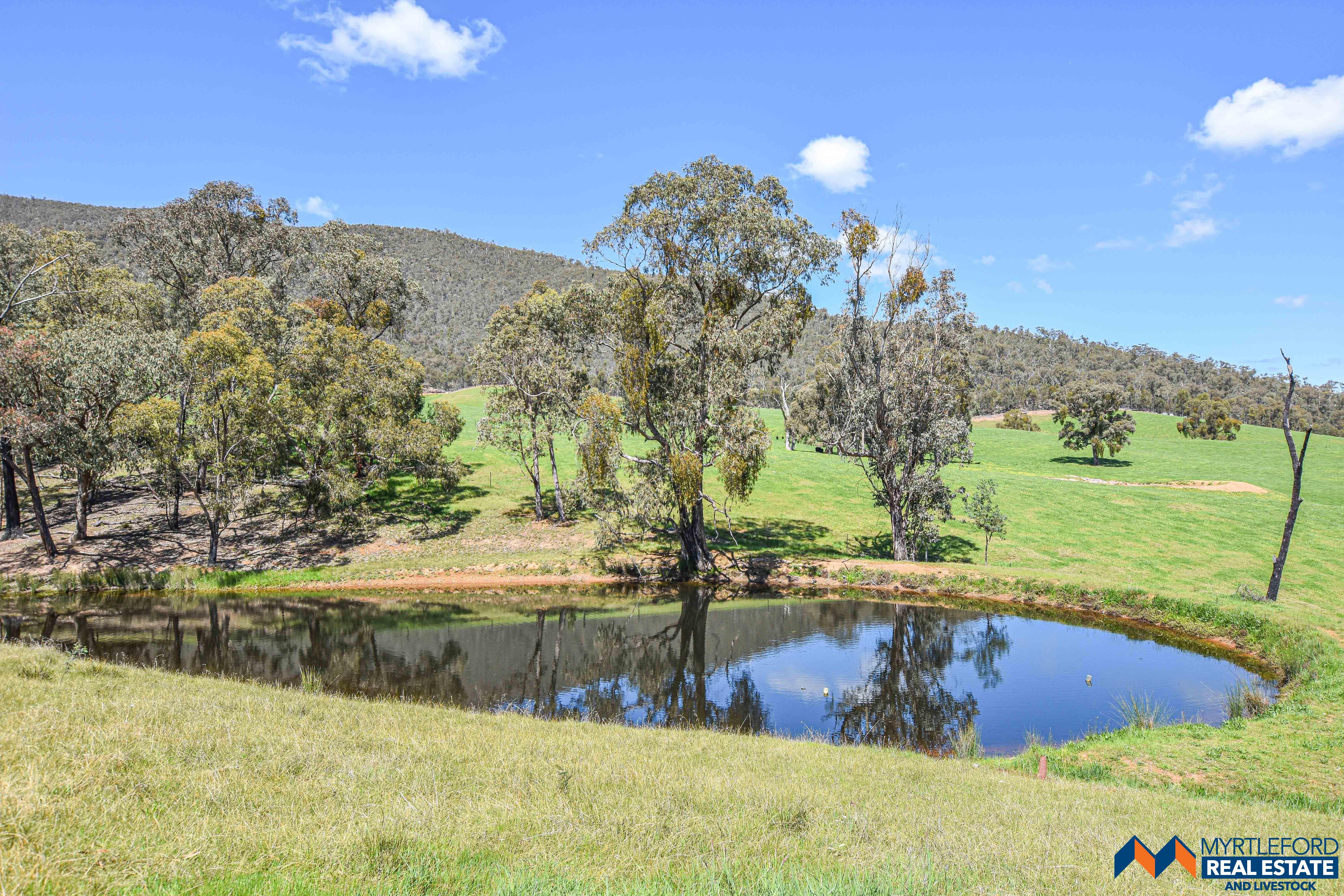 Real Estate For Sale 840 MyrtlefordYackandandah Road Myrtleford , VIC