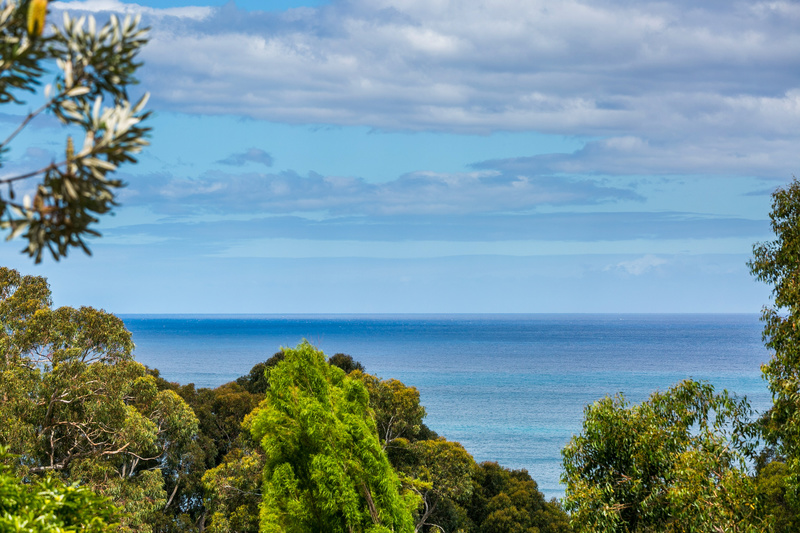 12 Normanby Terrace, Lorne, VIC, Lorne - Thumbnail 7