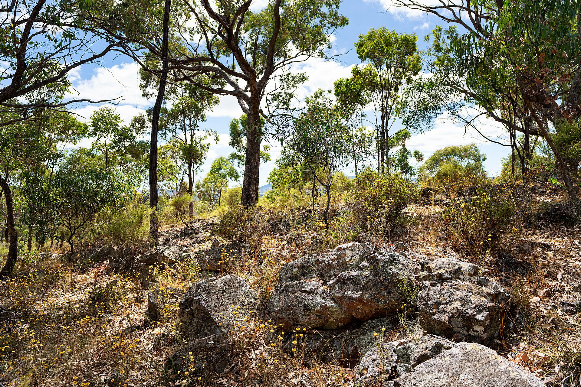 87 Congdon Road, Barkers Creek - Thumbnail 7
